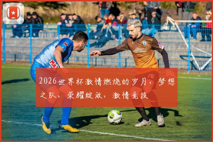 2026世界杯激情燃烧的岁月，梦想之队，荣耀绽放，激情竞技