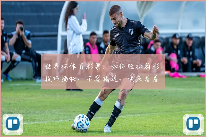 世界杯体育彩票，如何轻松购彩，技巧揭秘，不容错过，快来看看